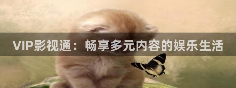 泡泡影视免费在线：VIP影视通：畅享多元内容的娱乐生活
