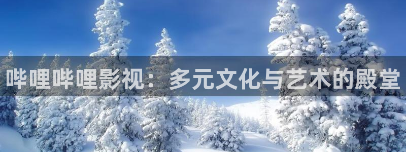 泡泡影视天堂影院：哔哩哔哩影视：多元文化与艺术的殿堂