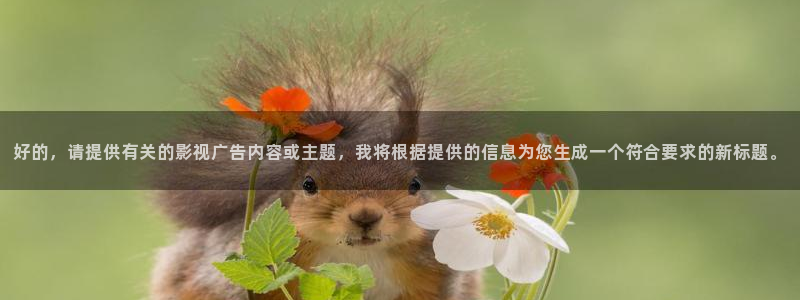 泡泡影视.
