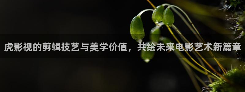 泡泡电影网最新电影