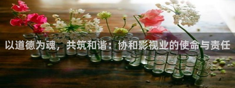 泡泡影视伦理