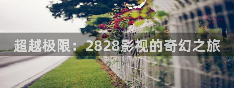 泡泡影视免费在线