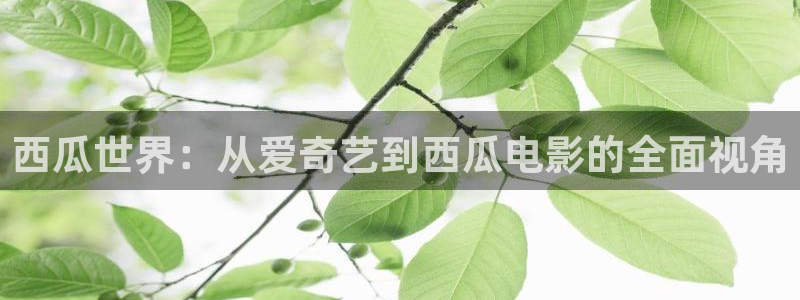 泡泡影视大全官网