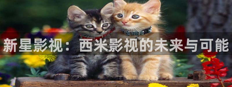 泡泡影视动漫