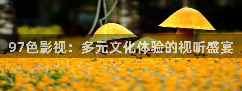 狂飙泡泡影视