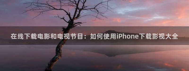 泡泡影视欧美版